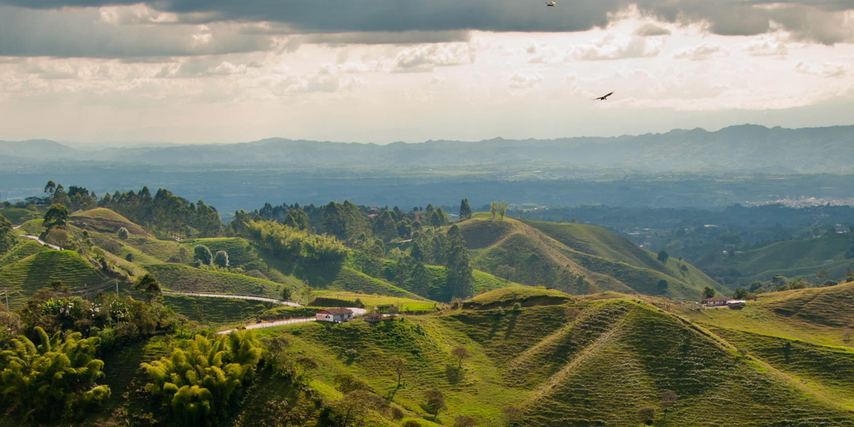 Viewpoint near Filandia, in the heart of the coffee growing region of Colombia.